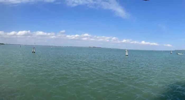 Apartment Casa In 2019 *